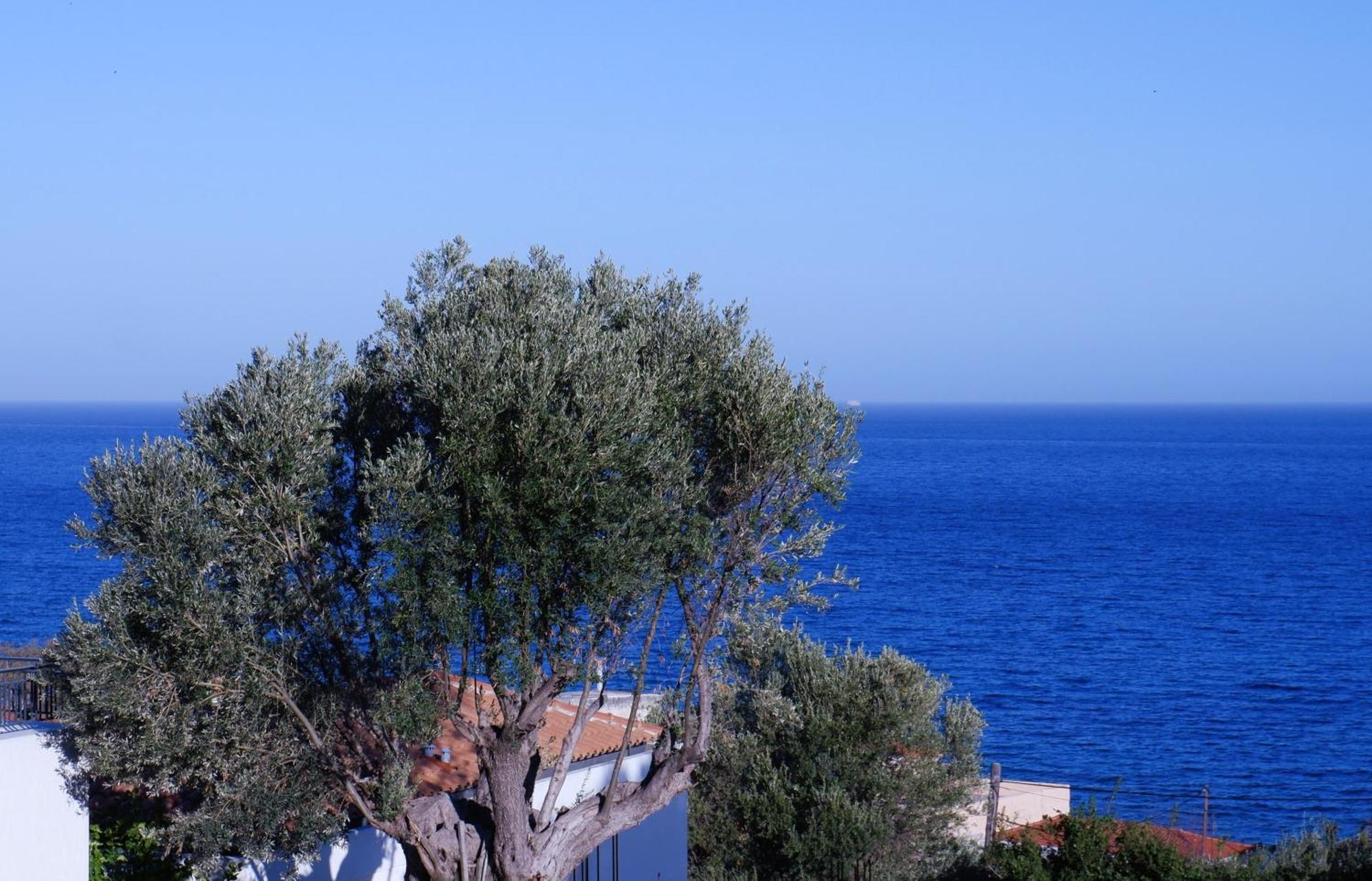 Apartment Sterna
